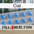 Cial 22